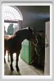 cmv_grosseto035
