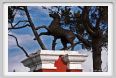 cmv_grosseto006