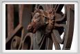 cmv_grosseto008