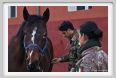 cmv_grosseto103
