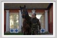 cmv_grosseto104