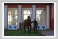 cmv_grosseto105