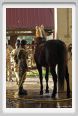 cmv_grosseto107