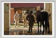 cmv_grosseto108