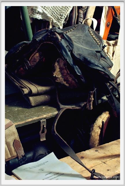 cmv_grosseto332
