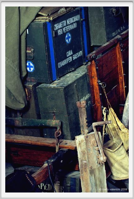 cmv_grosseto353