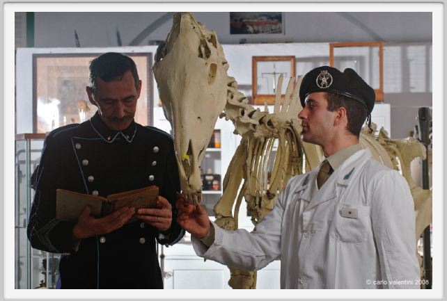 cmv_grosseto233
