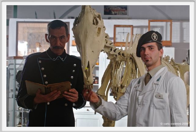 cmv_grosseto234