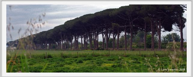 cmv_grosseto224