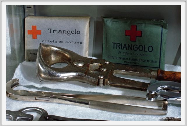 cmv_grosseto285