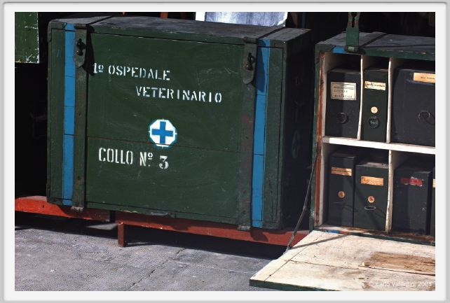 cmv_grosseto291