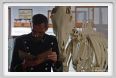 cmv_grosseto228