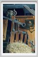 cmv_grosseto335