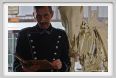 cmv_grosseto229