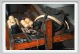 cmv_grosseto346