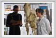 cmv_grosseto232