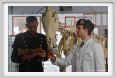 cmv_grosseto233