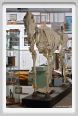 cmv_grosseto236