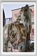 cmv_grosseto239