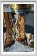 cmv_grosseto258