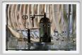 cmv_grosseto260