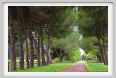 cmv_grosseto221