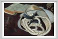 cmv_grosseto276