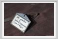 cmv_grosseto277