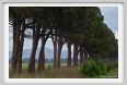cmv_grosseto225