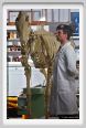 cmv_grosseto227