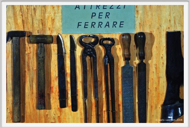 cmv_grosseto371