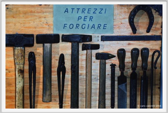 cmv_grosseto372
