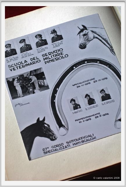 cmv_grosseto398