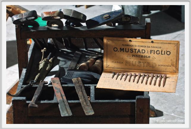 cmv_grosseto367