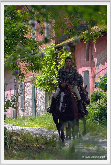 cmv_grosseto434