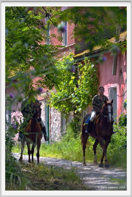 cmv_grosseto435