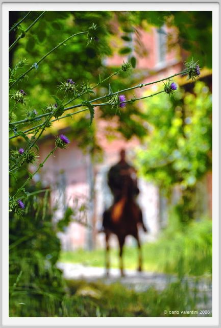 cmv_grosseto439