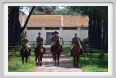 cmv_grosseto482