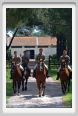 cmv_grosseto484