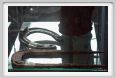 cmv_grosseto375