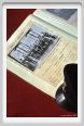 cmv_grosseto386
