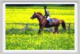 cmv_grosseto414