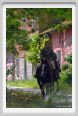 cmv_grosseto434