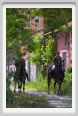 cmv_grosseto435