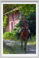 cmv_grosseto436