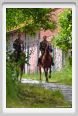 cmv_grosseto437