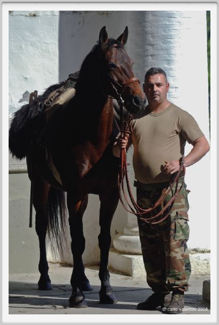 cmv_grosseto507