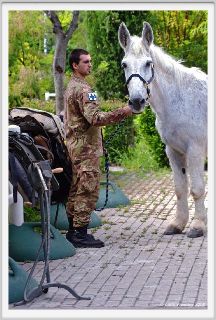 cmv_grosseto491