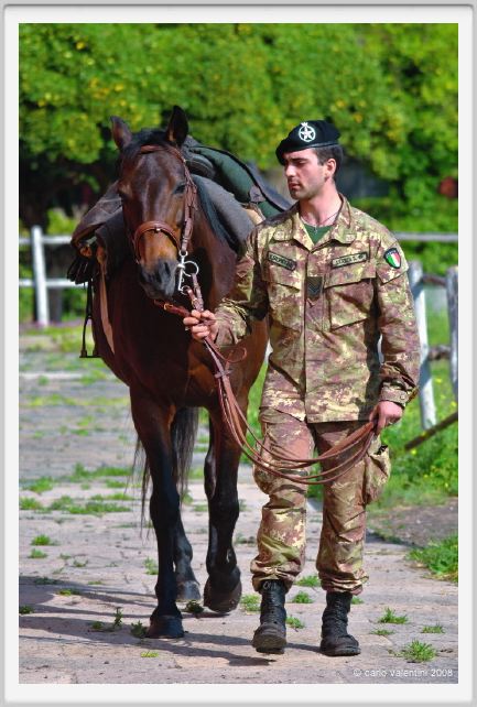 cmv_grosseto516