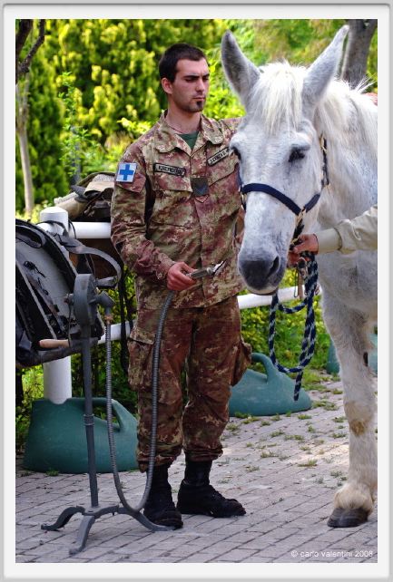cmv_grosseto494